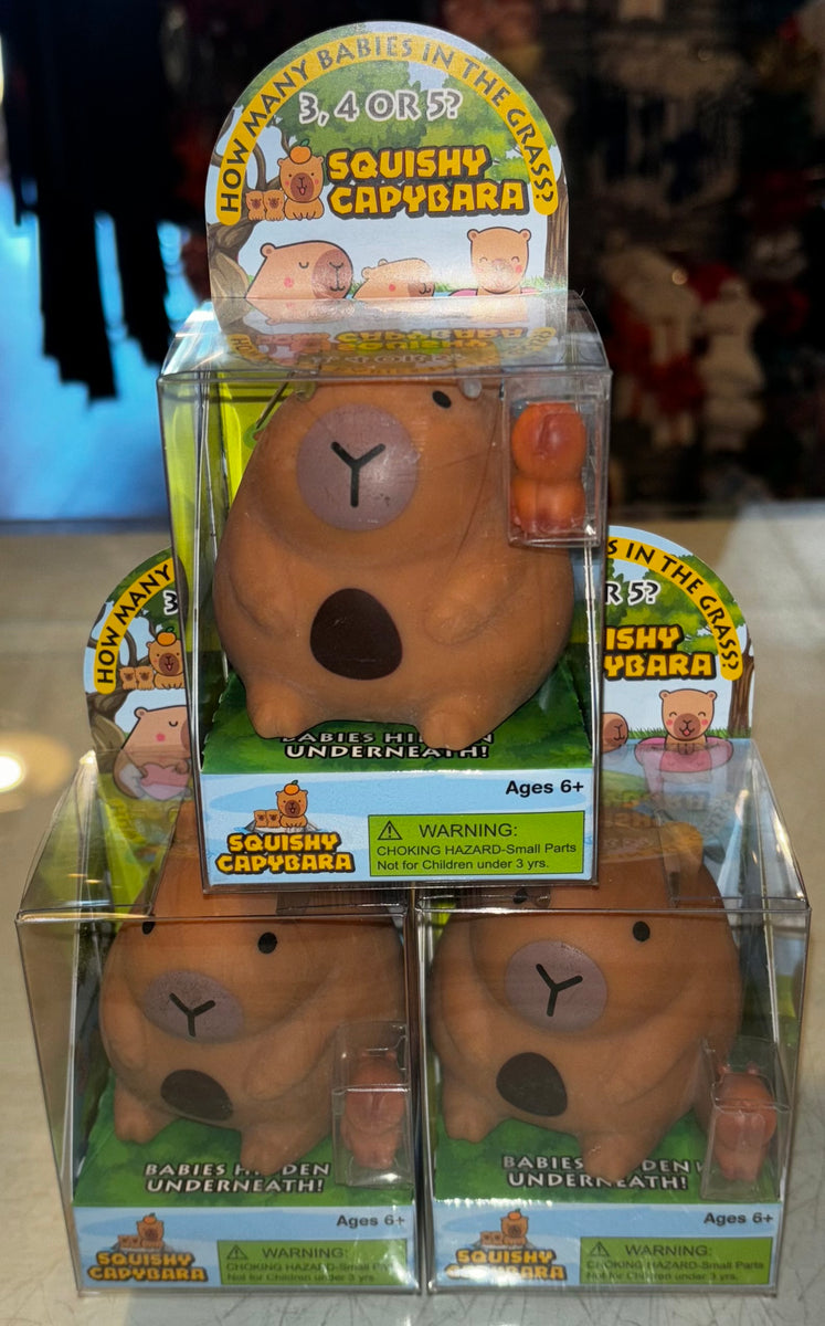 Squishy Capybara – Ribbons and Beaus Boutique